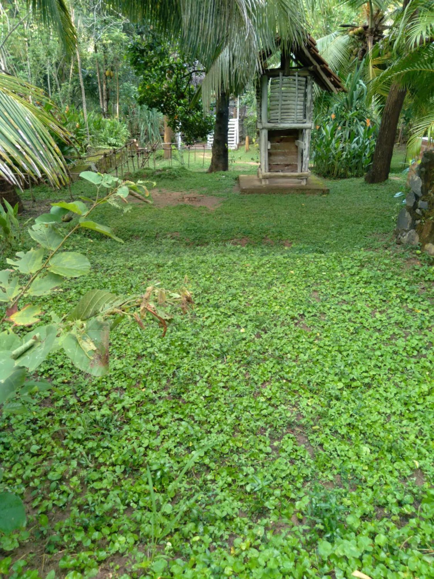 Home In The Island Tangalle Exterior photo