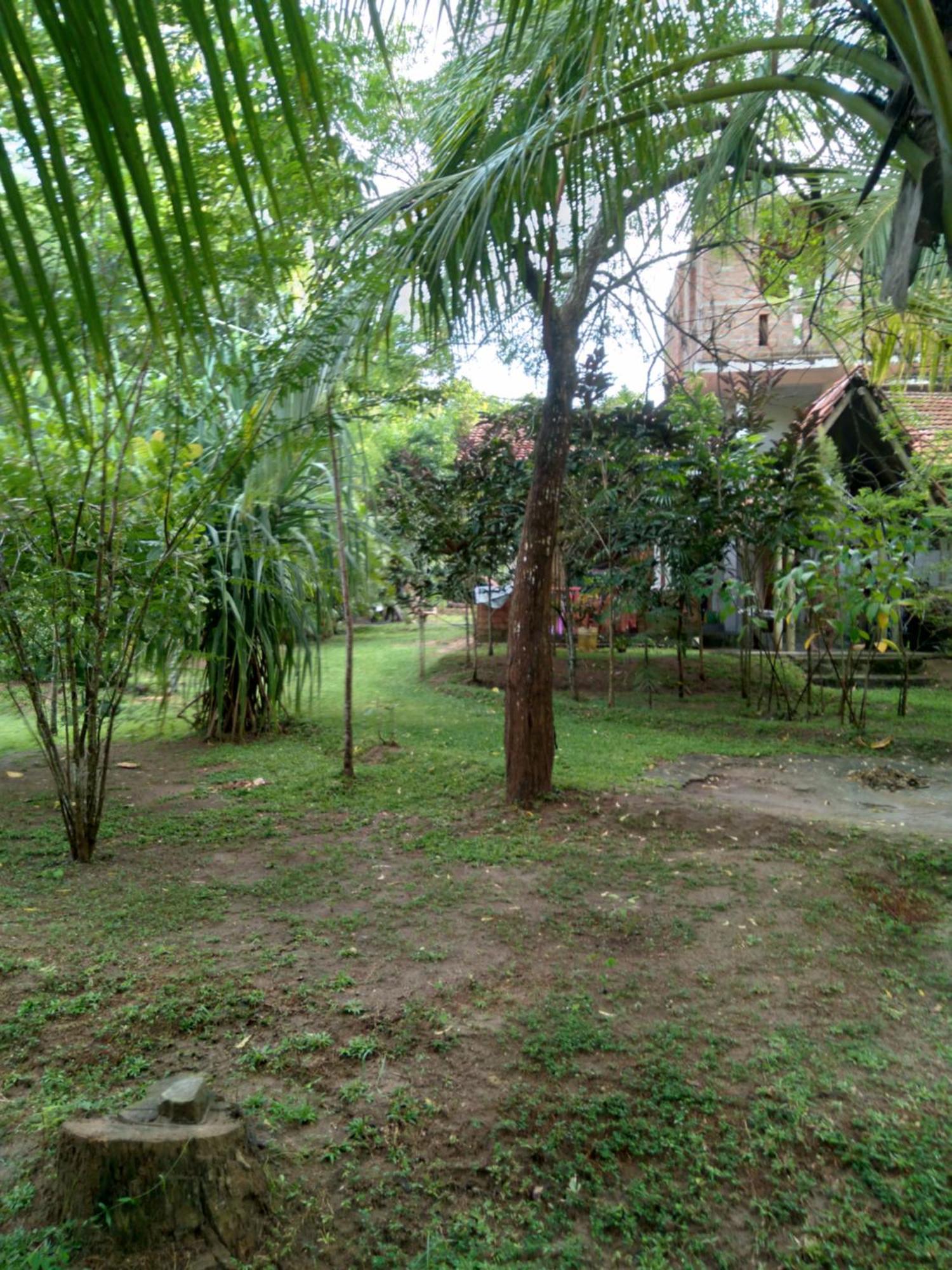 Home In The Island Tangalle Exterior photo
